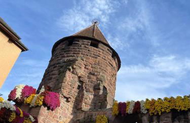 Ferienwohnung Schwarzwaldnest - Foto 37