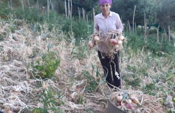 Agriturismo Gli Antichi Sapori - con stazione di ricarica veicoli elettrici - Foto 47