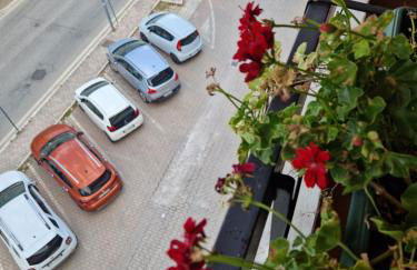 GUFO VERDE - Photo 37