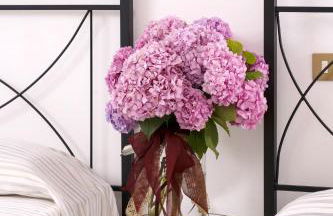 La Tenuta Va Oltre - Foto 32