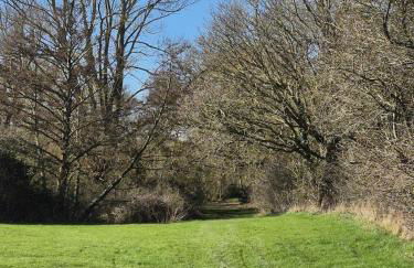 Secluded 16th Century Farmhouse with private grounds - Foto 26