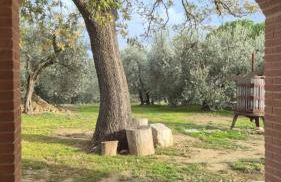 Agriturismo Giorgini - Foto 34