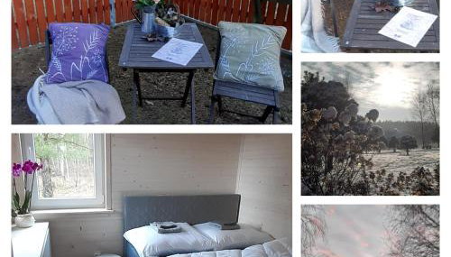 sosnowelowe - Foto 2, Garden view