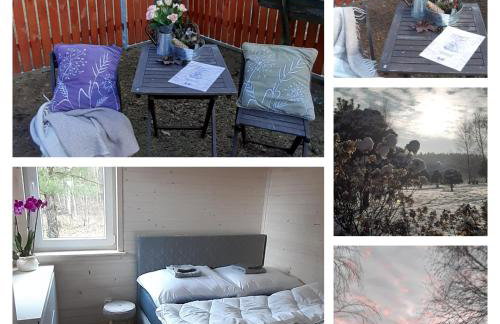 sosnowelowe - Foto 2