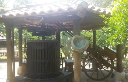 L' Agrumeto - Photo 53