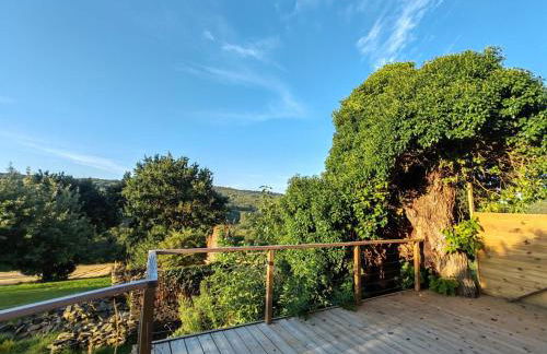 ar wezenn gozh - Foto 8