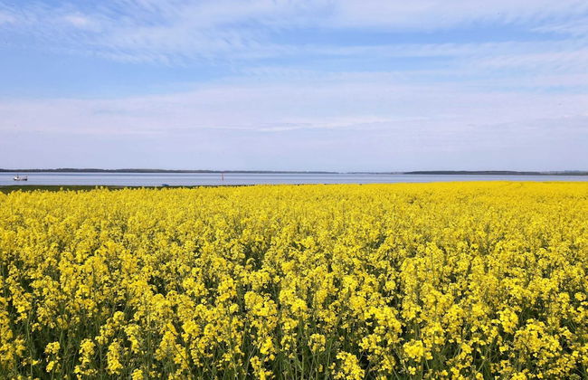 Ferienhaus mit Sauna in Boiensdorf am Salzhaff - Foto 27