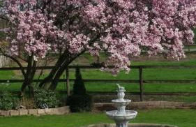 Landgut vor den Toren von Köln - Foto 12