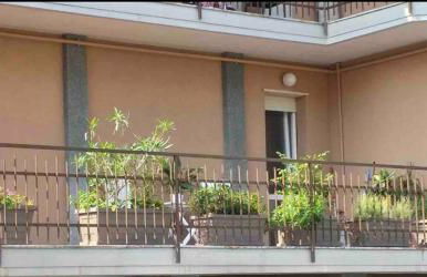 Sesto Calende Centro - Foto 27