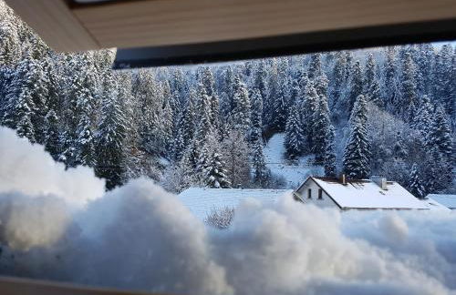 Le petit Kichon - Foto 36