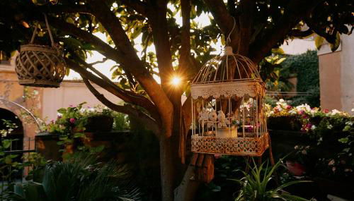 La casetta di Giusy - Alloggio turistico - Foto 4, Garden