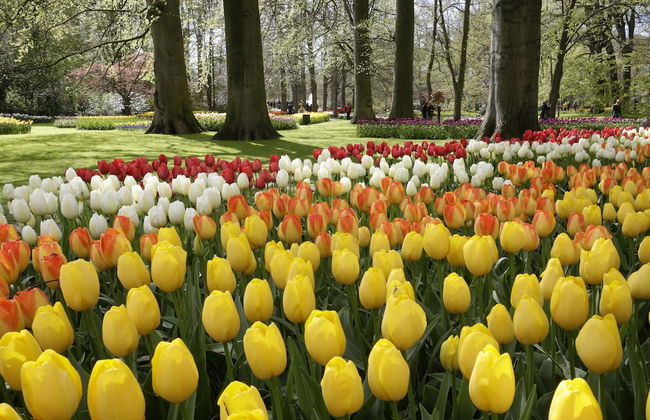 EuroParcs Noordwijkse Duinen - Photo 75