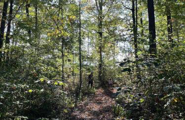 The Hollow House - Foto 33