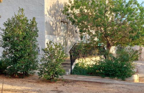 Rocca tagliata Marsala - Foto 38