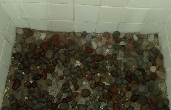 Berkey's Jungle Paradise - Photo 34