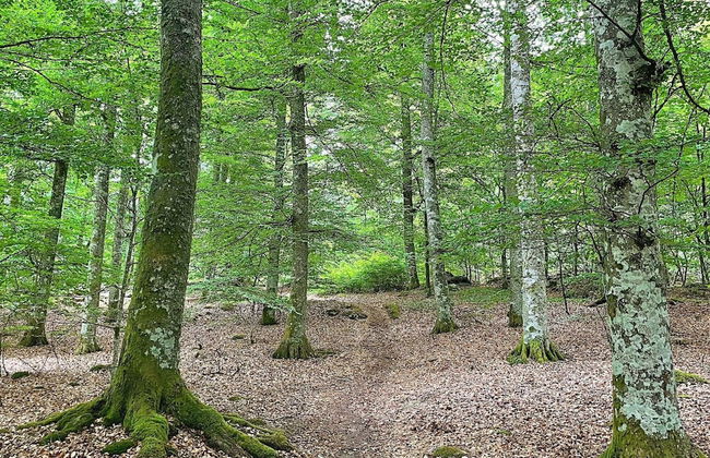 6 Person Holiday Home in Dio-by Traum - Foto 20