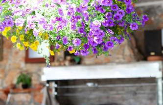 Nina Apartment - Foto 30