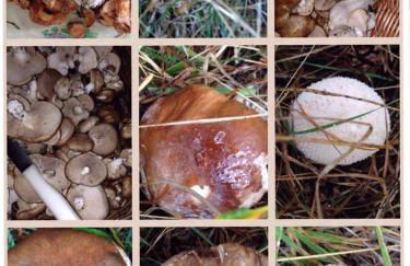 Casa Rural Lahuerta - Foto 40