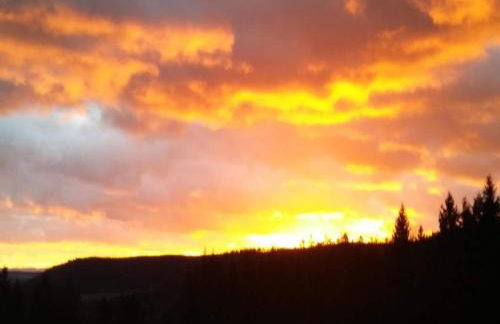 Charming Apartment, Harz Region - Foto 58