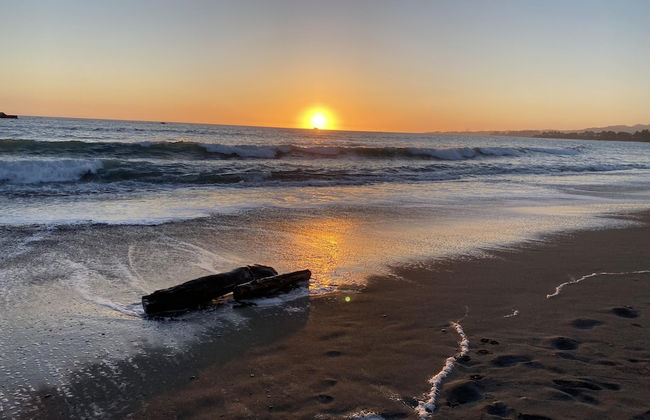 Oceanfront Cabin 4 With Jacuzzi Stunning Views - Foto 20