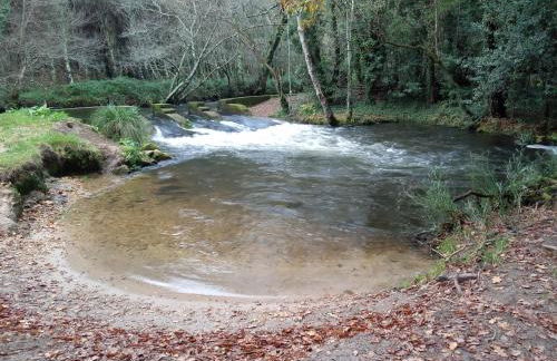 Casa silvosa - Photo 11