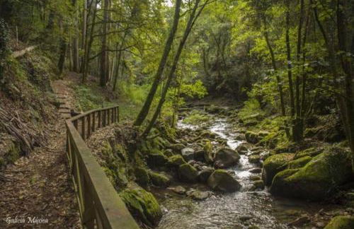 Sola Costeiro - Foto 17