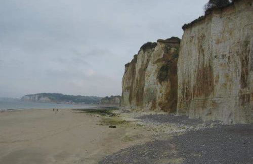 Le Manège - Foto 32