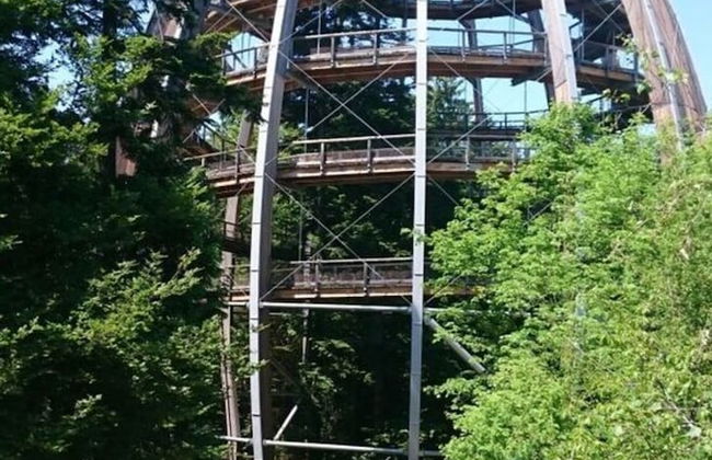 Mitterdorf Modern Retreat - Foto 33