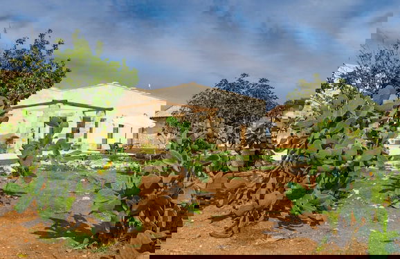 Falcon Home Resort - Photo 68