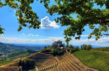 FeWo Zeller Waldblick - Foto 16