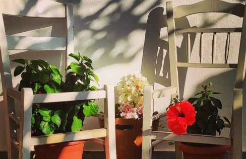 Secret Garden Home Lagonissi Attiki - Foto 46