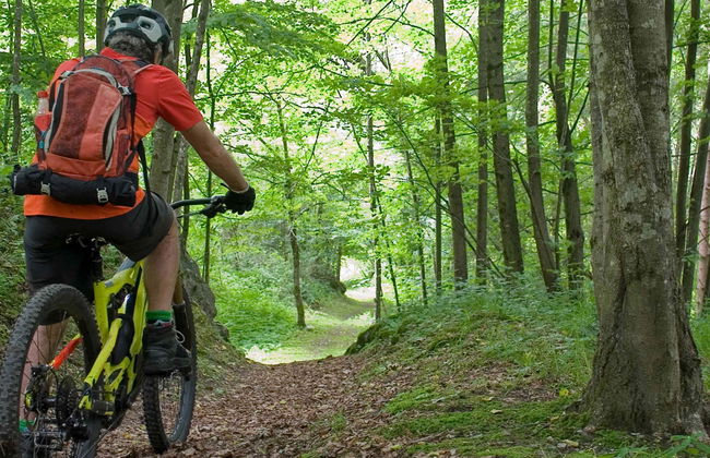 Bidoup-Nui Ba National Park Bike Tour - Foto 3