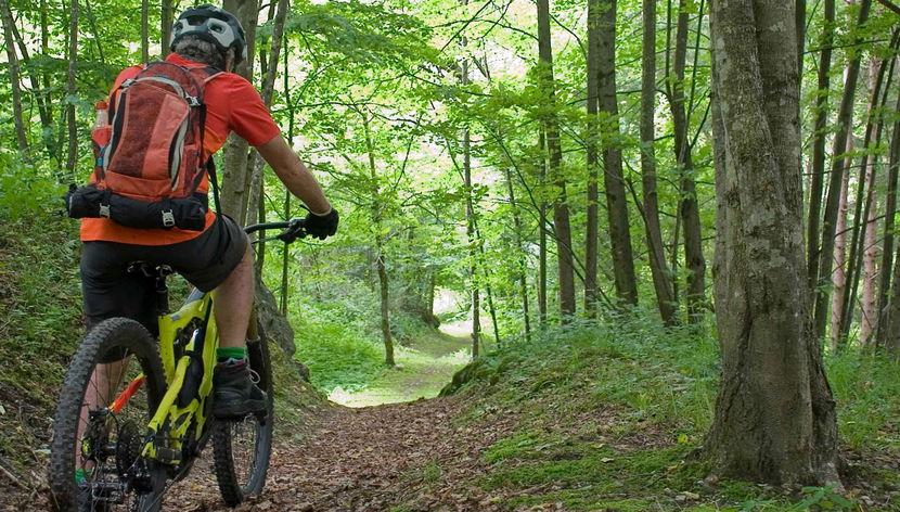 Tour de bicicleta pelo Parque Nacional Bidoup-Nui Ba
