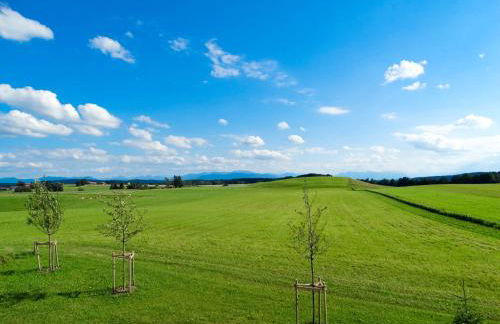 Ferienwohnung Zugspitze - Foto 1