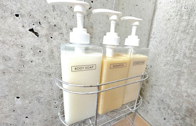 ANGO ISHIGAKIJIMA1 - Foto 40