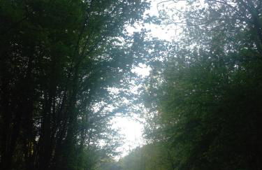 Sul Collagù - Foto 8