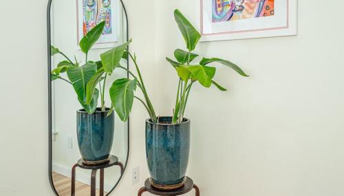 Beautiful Historic Renovation near IU Stadiums and Downtown Bloomington - Foto 5