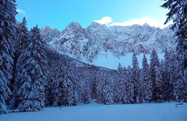 Secluded Apartment in Ferlach near Bodental Ski Lift - Photo 22