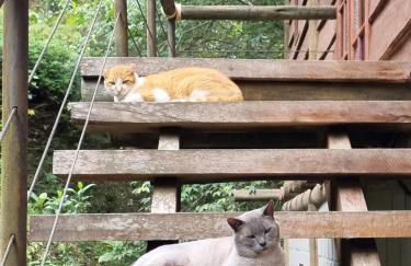 Apartamento Rústico Industrial nos Altos de Albuquerque - Photo 25