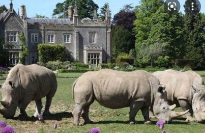 Large Stylish Luxury Cotswold Cottage - ideal for families, w/ EV charging - Foto 42