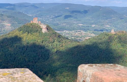 Holiday Home Trifels by Interhome - Foto 8