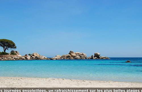 Locations "ChezChristine Pianelli" à Porto-Vecchio - Foto 30