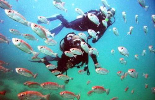 Caribe Brasileiro a 2 passos da areia - Photo 36