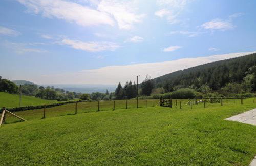 Dol Blodau - Photo 29