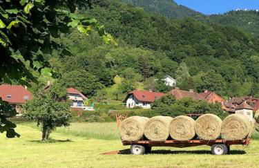 Maison de vacances 220m2 vue Lac et Château - Foto 20