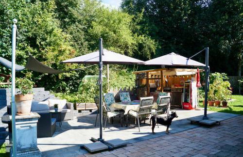 Grüne Oase - Foto 25