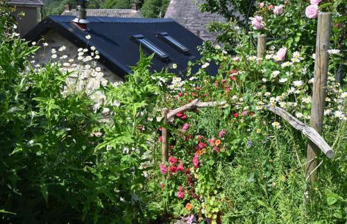 Bro Deg - Moylegrove - Foto 21