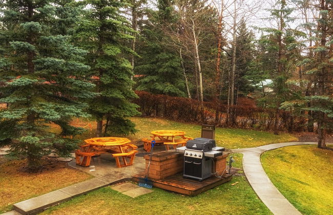 Banff Boundary Lodge Mountainview Studio - Photo 13