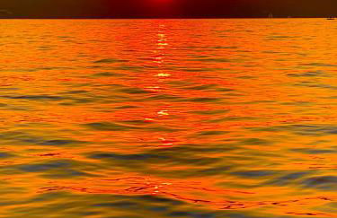 MARTIN & NICOLE'S HOME - Foto 41