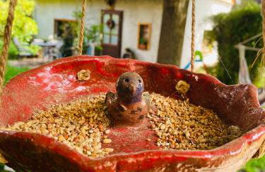 Walnußhof - Foto 27